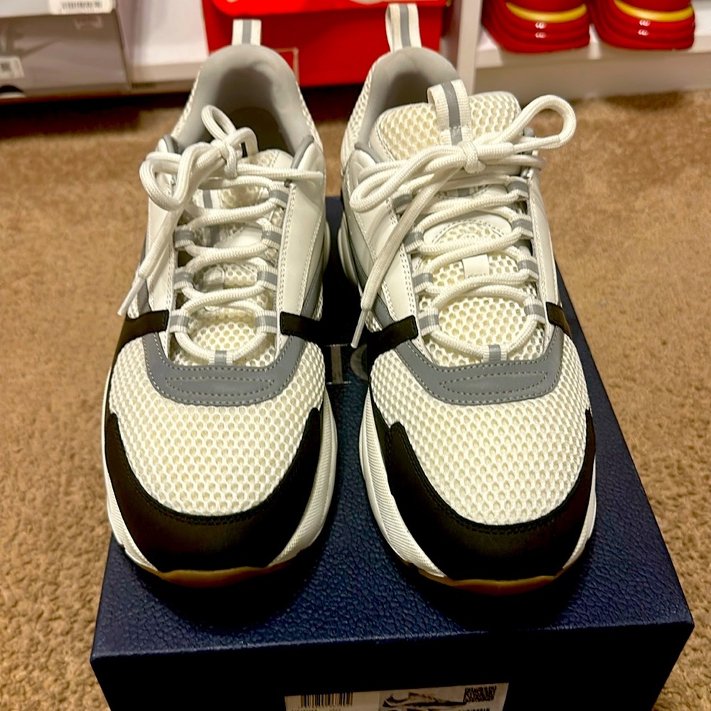 Dior M-B22 Calf Mesh